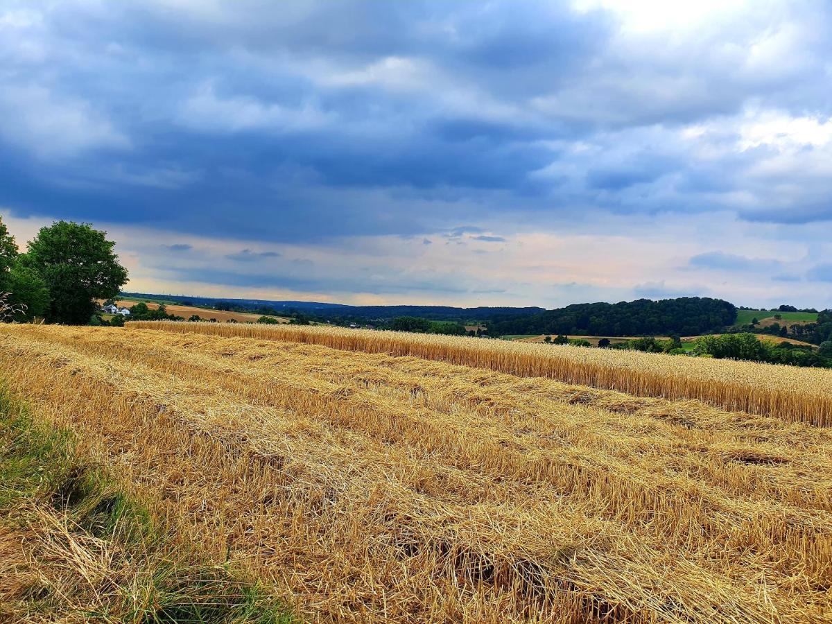 Ferienwohnung Im Siebengebirge Naehe Koeln/Bonn Königswinter Esterno foto