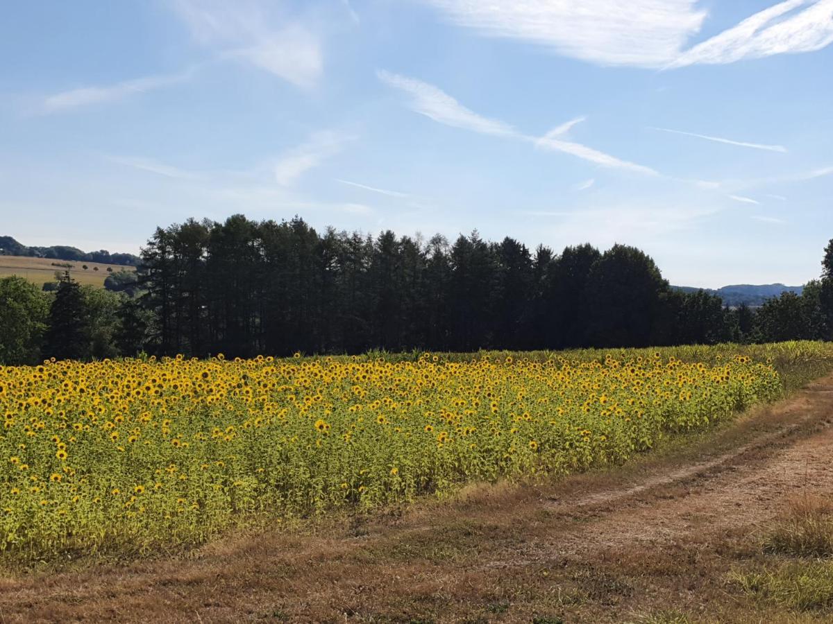 Ferienwohnung Im Siebengebirge Naehe Koeln/Bonn Königswinter Esterno foto