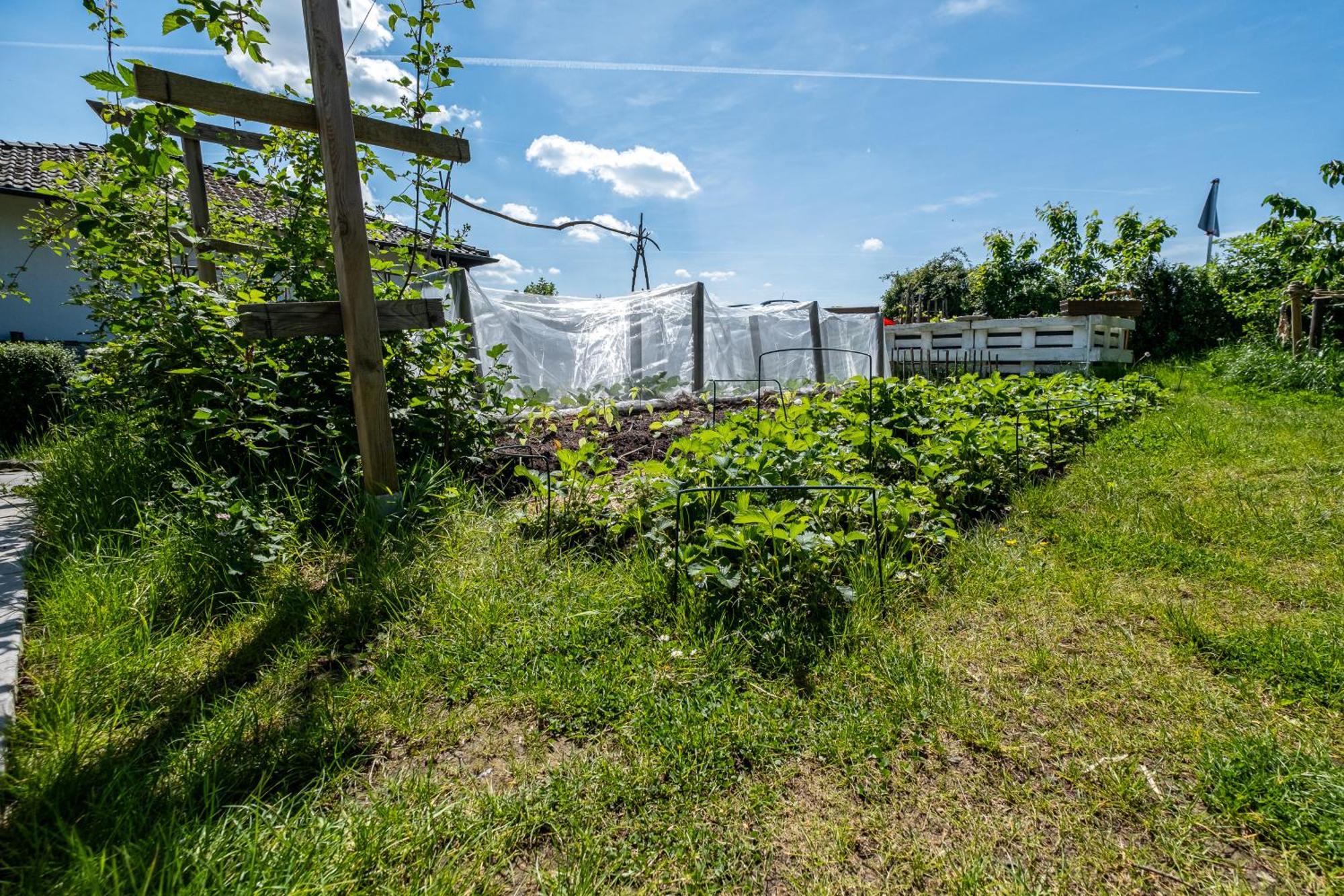 Ferienwohnung Im Siebengebirge Naehe Koeln/Bonn Königswinter Esterno foto